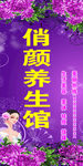 美容背景 养生馆背景  美容紫
