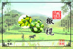 橄榄