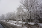 冬天 雪 雾淞