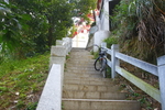 楼梯与自行车