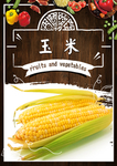 玉米