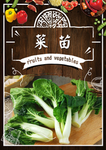菜苗