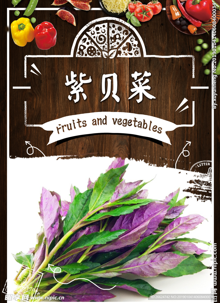 紫贝菜