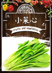 小菜心