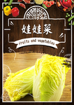 娃娃菜