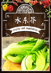 水东芥