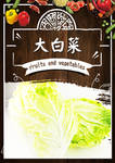大白菜