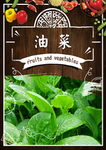 油菜