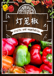 灯笼椒