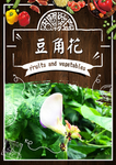 豆角花