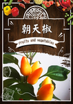 朝天椒
