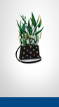 袋子种草
