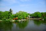 公园风景