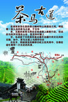 黑茶