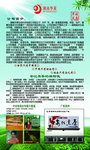 黑茶
