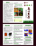 黑茶