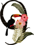 花数字