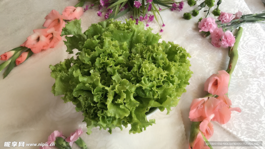 生菜
