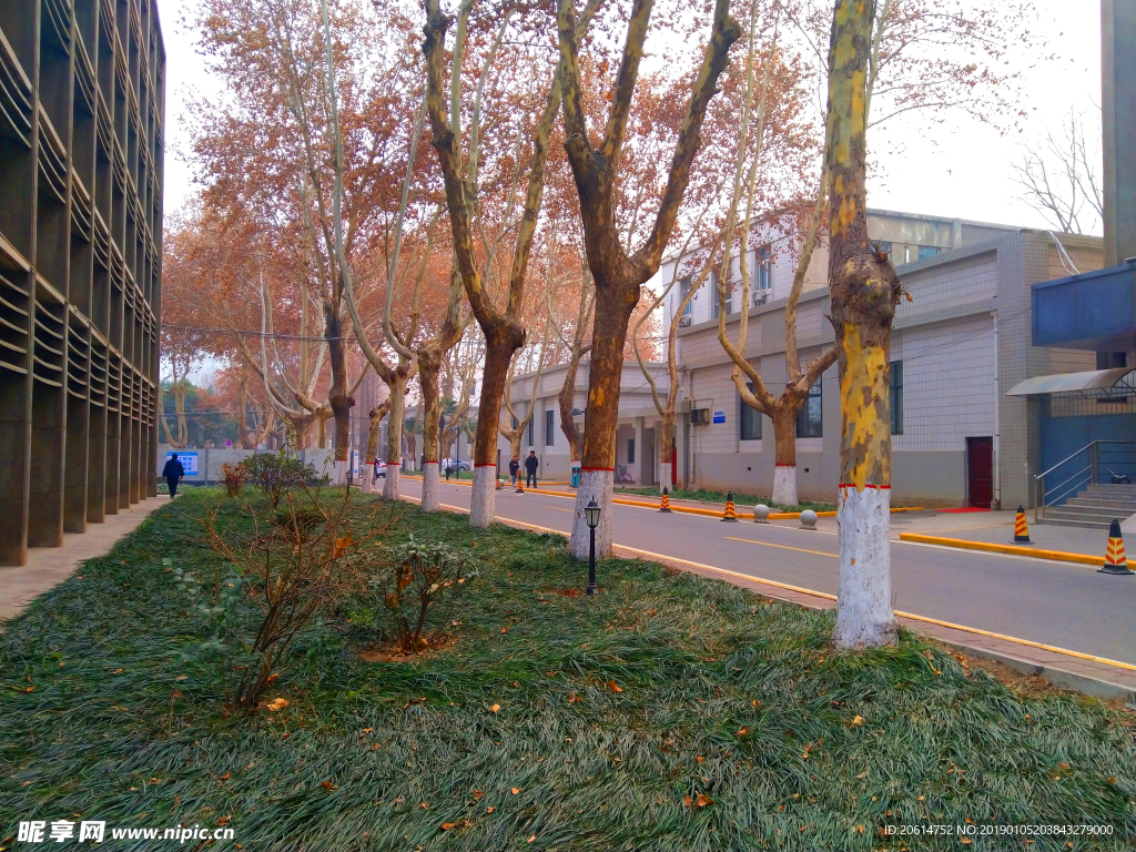 美丽的校园风景