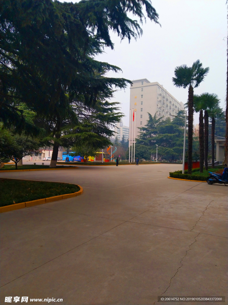 美丽的校园风景