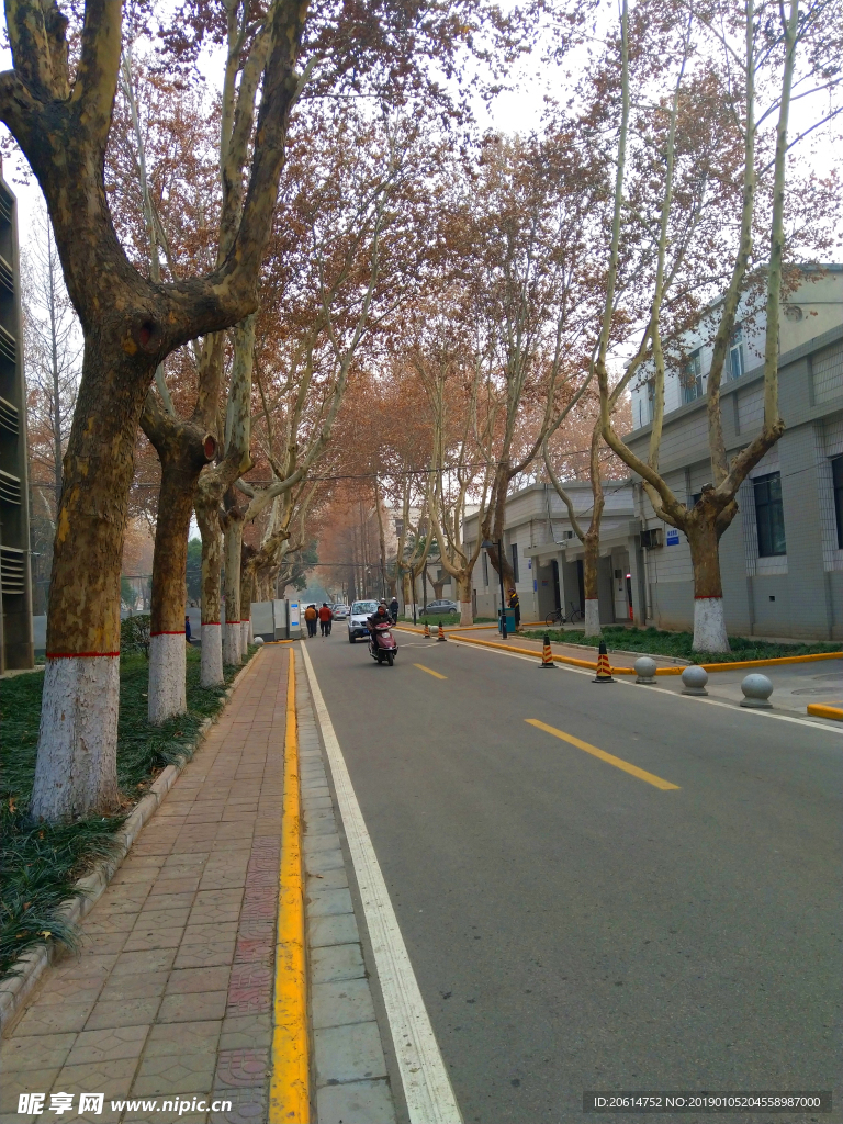 美丽的校园风景