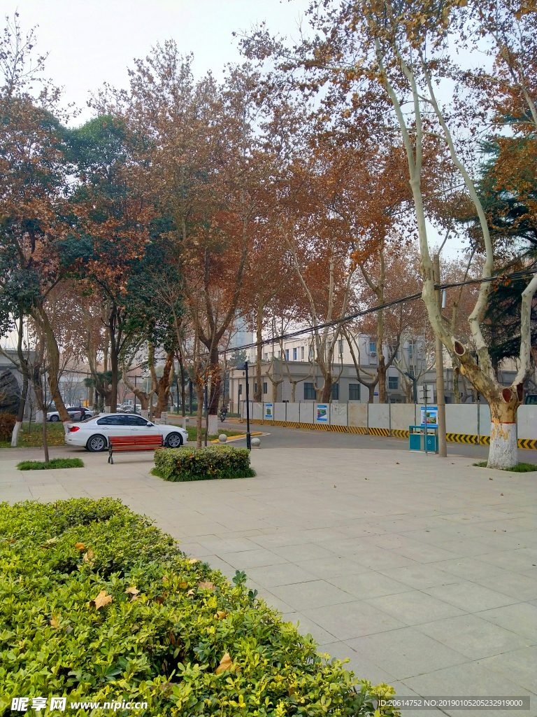 美丽的校园风景