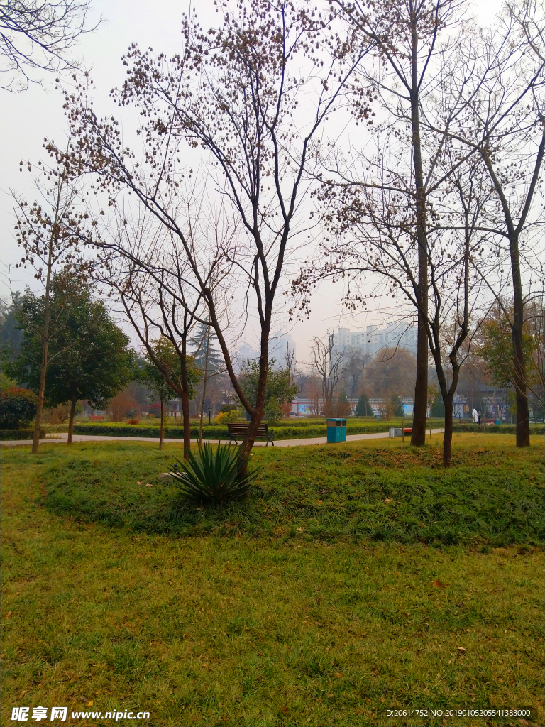 美丽的校园风景
