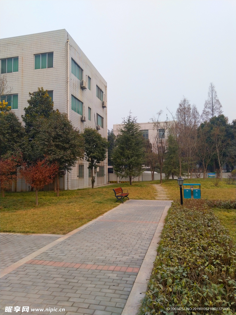 美丽的校园风景