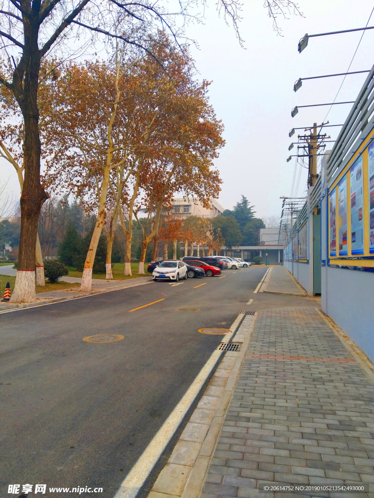 美丽的校园风景