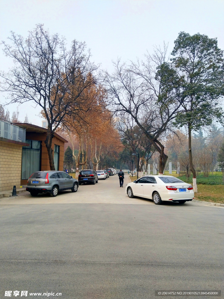 美丽的校园风景