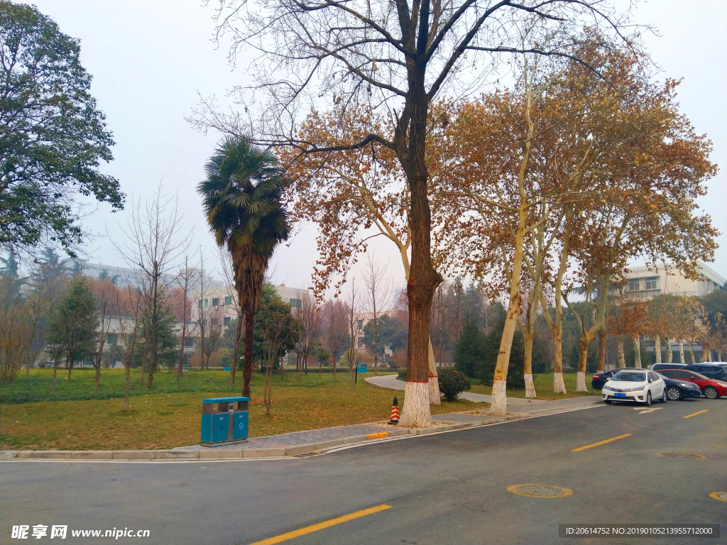 美丽的校园风景