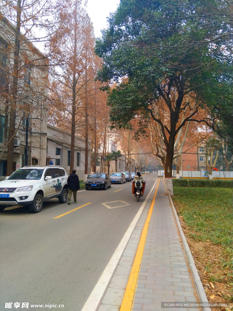 美丽的校园风景