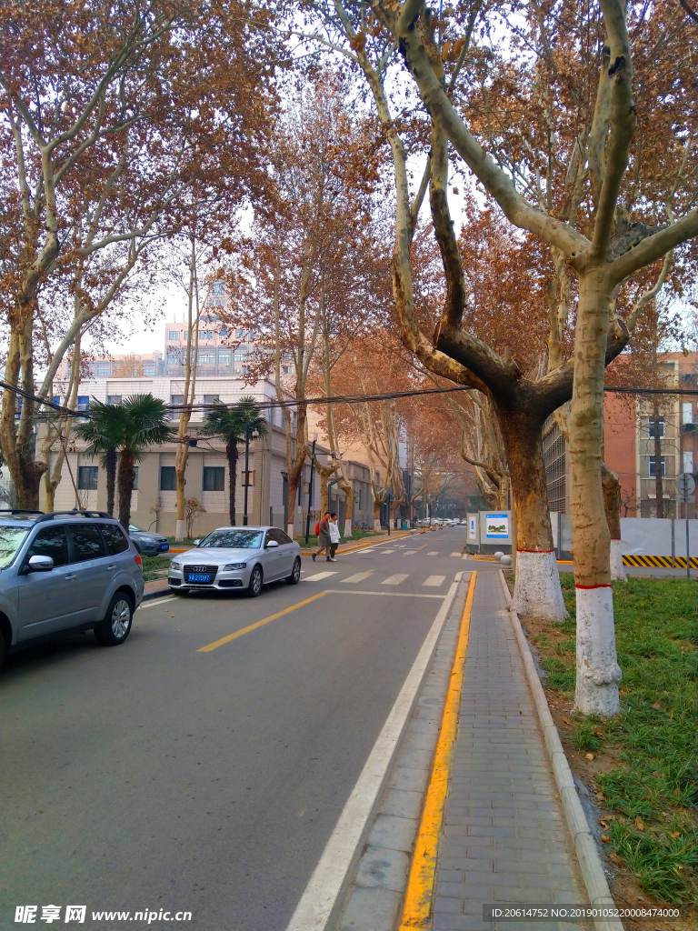 美丽的校园风景