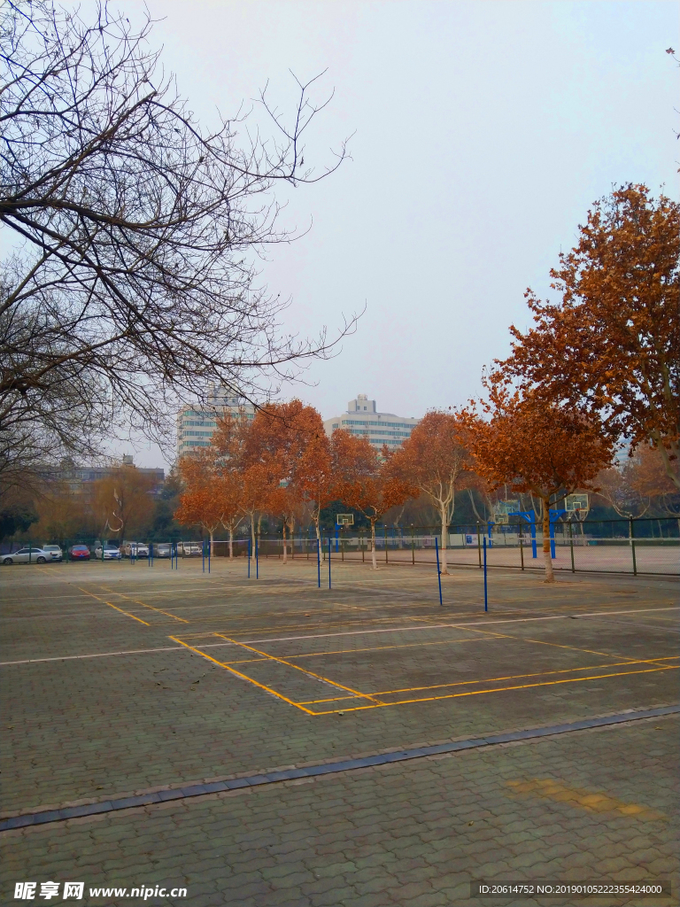 深秋时节的操场风景