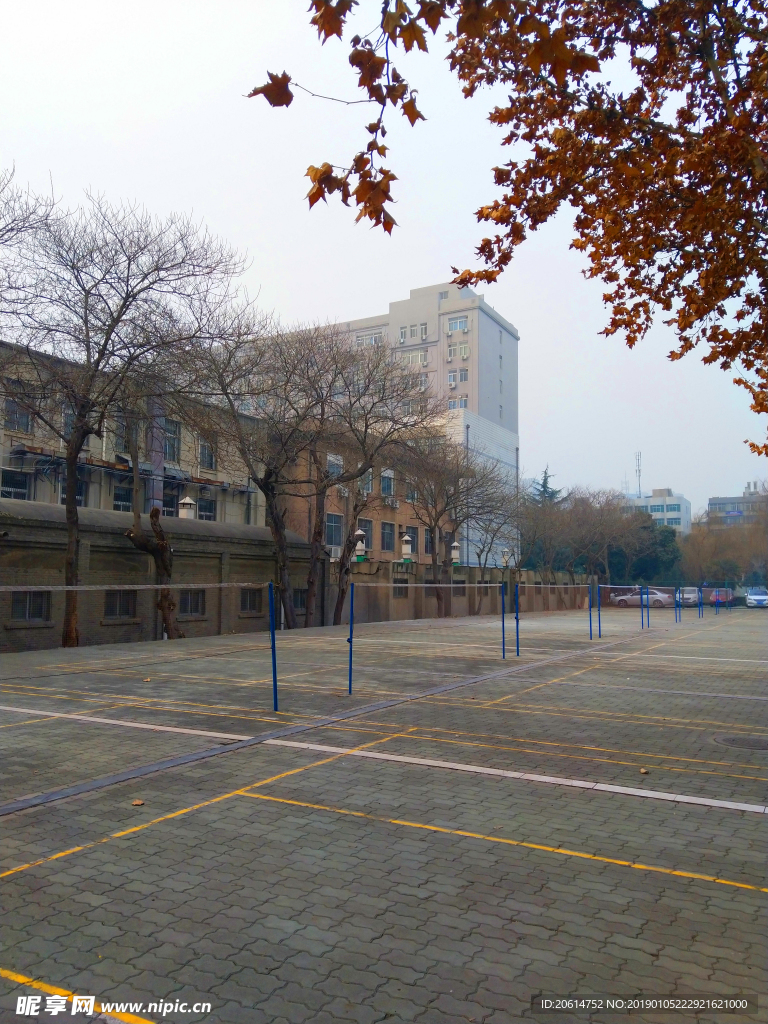 美丽的校园风景