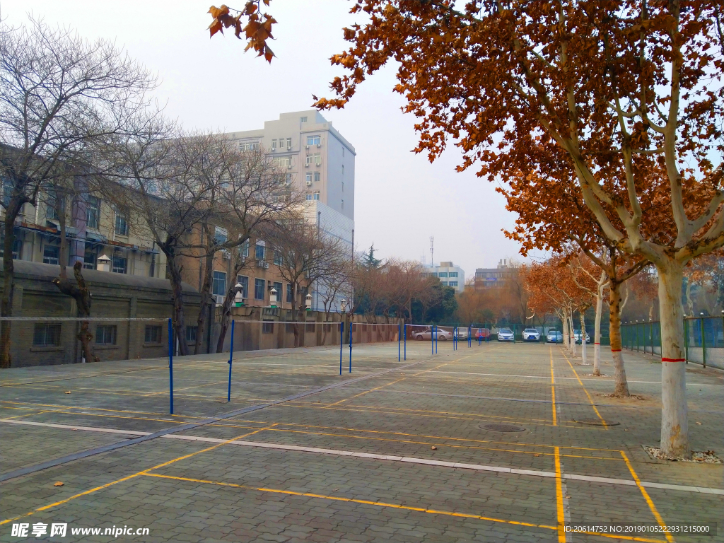 美丽的校园风景