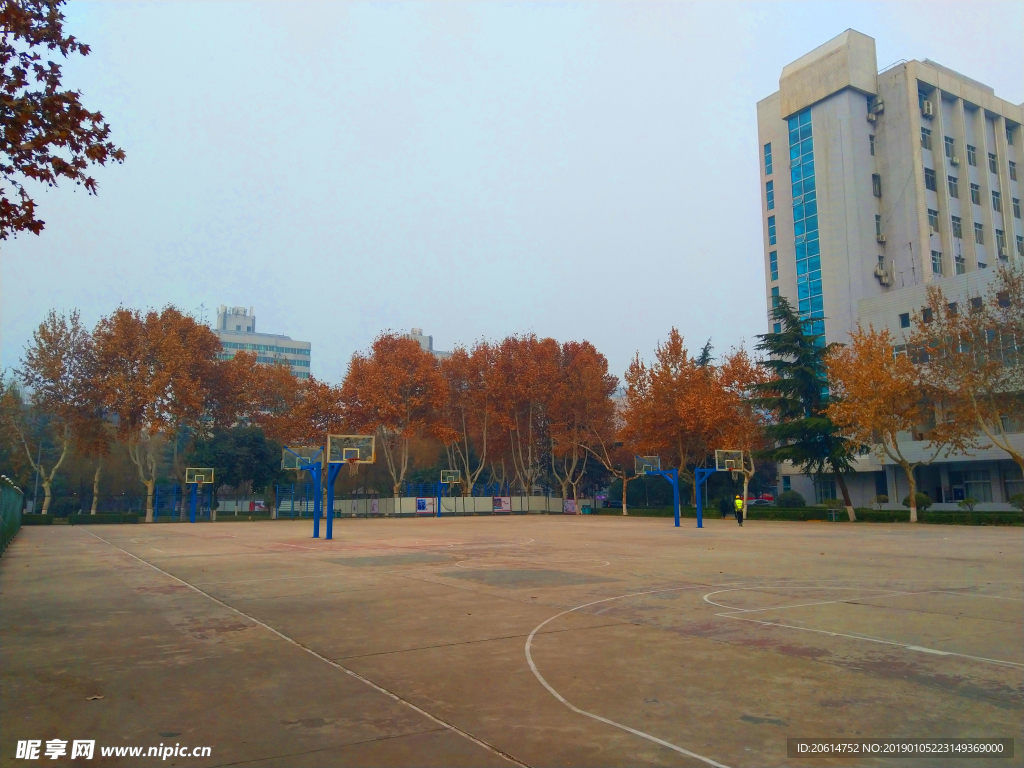 美丽的校园风景