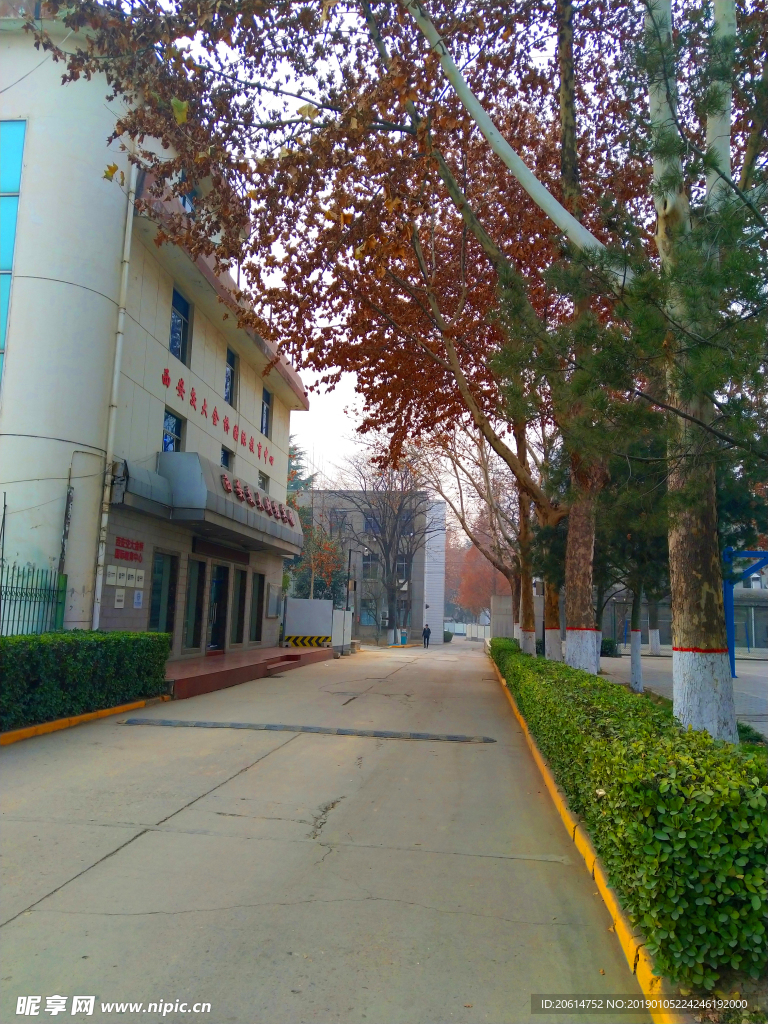 美丽的校园风景