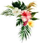 唯美花环