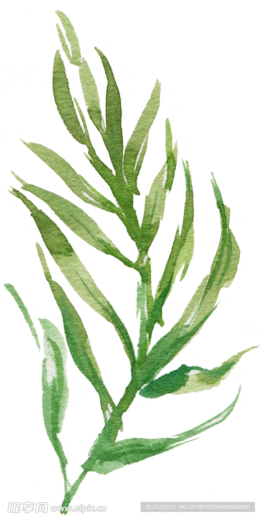 唯美花环