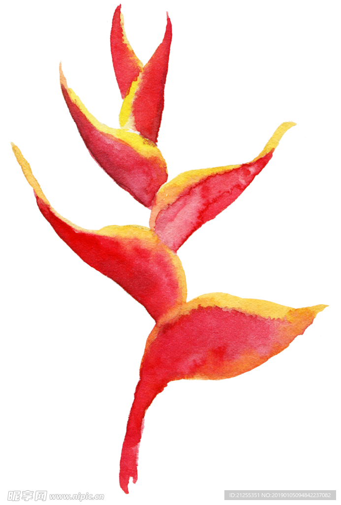 唯美花环