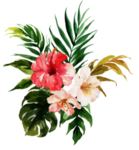 唯美花环
