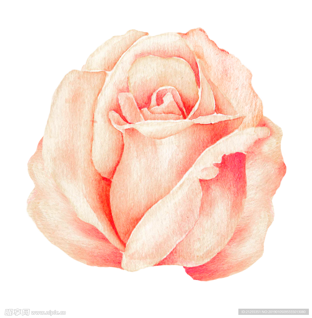 唯美花环