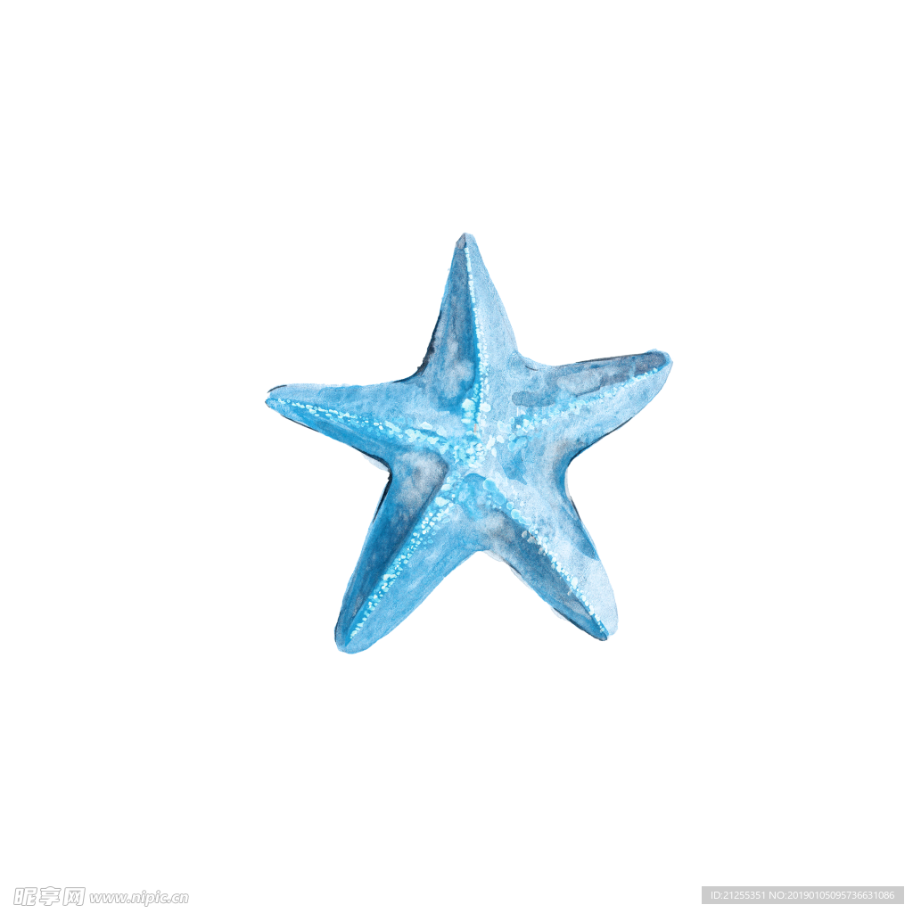 海星