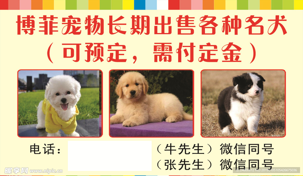 宠物名片