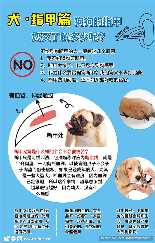 宠物海报
