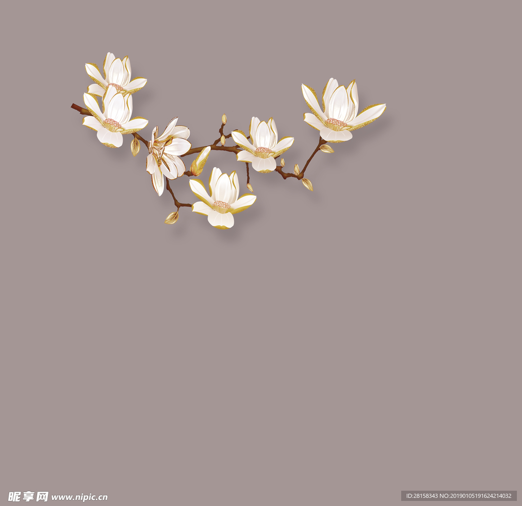 手绘玉兰