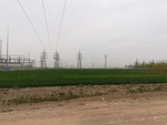小麦地麦田