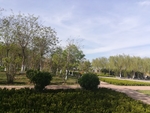 公园