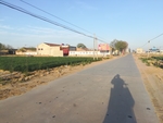 农村小路
